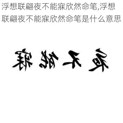 浮想联翩夜不能寐欣然命笔,浮想联翩夜不能寐欣然命笔是什么意思