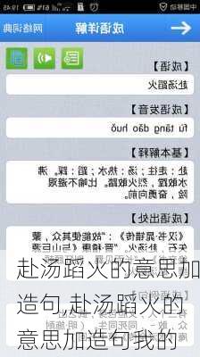 赴汤蹈火的意思加造句,赴汤蹈火的意思加造句我的