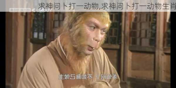 求神问卜打一动物,求神问卜打一动物生肖