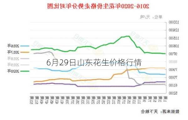 6月29日山东花生价格行情