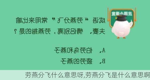 劳燕分飞什么意思呀,劳燕分飞是什么意思啊