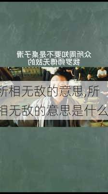 所相无敌的意思,所相无敌的意思是什么