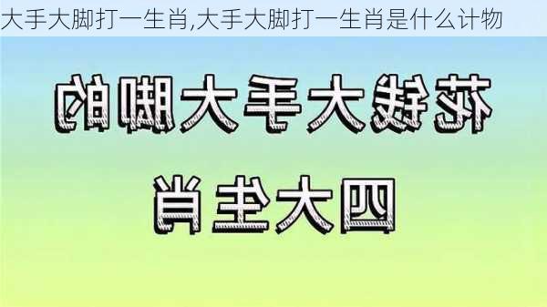 大手大脚打一生肖,大手大脚打一生肖是什么计物