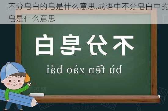 不分皂白的皂是什么意思,成语中不分皂白中的皂是什么意思