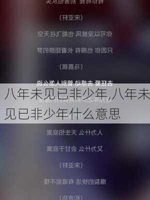 八年未见已非少年,八年未见已非少年什么意思