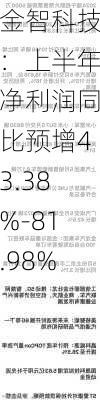 金智科技：上半年净利润同比预增43.38%-81.98%