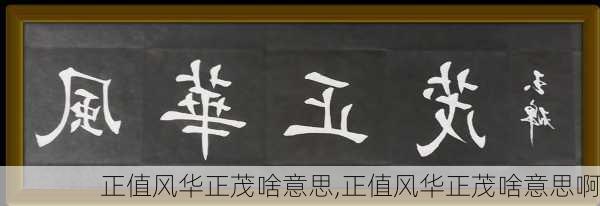 正值风华正茂啥意思,正值风华正茂啥意思啊