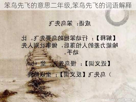 笨鸟先飞的意思二年级,笨鸟先飞的词语解释