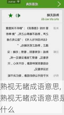 熟视无睹成语意思,熟视无睹成语意思是什么