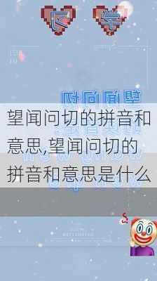 望闻问切的拼音和意思,望闻问切的拼音和意思是什么