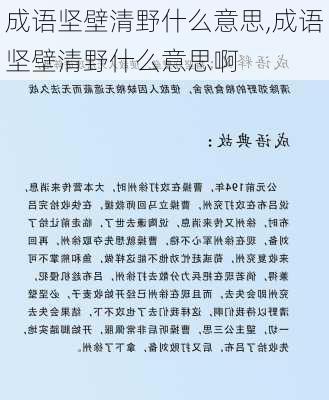 成语坚壁清野什么意思,成语坚壁清野什么意思啊