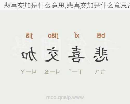 悲喜交加是什么意思,悲喜交加是什么意思?