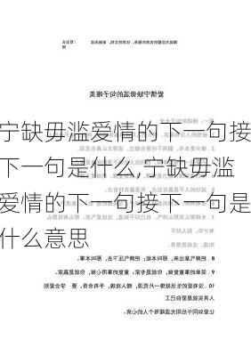 宁缺毋滥爱情的下一句接下一句是什么,宁缺毋滥爱情的下一句接下一句是什么意思