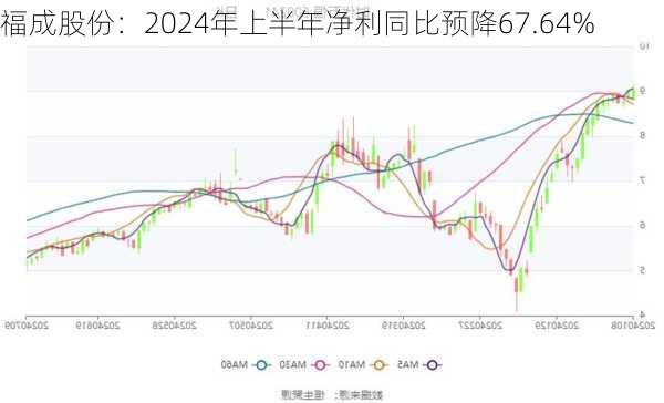 福成股份：2024年上半年净利同比预降67.64%