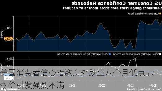 美国消费者信心指数意外跌至八个月低点 高物价引发强烈不满