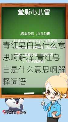 青红皂白是什么意思啊解释,青红皂白是什么意思啊解释词语