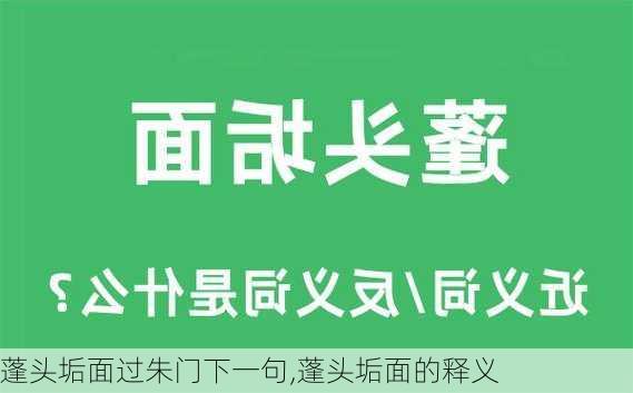 蓬头垢面过朱门下一句,蓬头垢面的释义