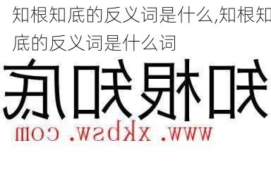 知根知底的反义词是什么,知根知底的反义词是什么词