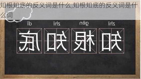 知根知底的反义词是什么,知根知底的反义词是什么词