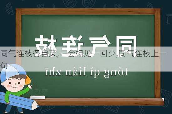 同气连枝各自荣,一会相见一回少,同气连枝上一句