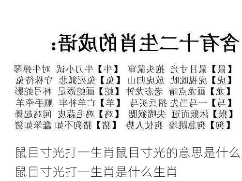 鼠目寸光打一生肖鼠目寸光的意思是什么,鼠目寸光打一生肖是什么生肖