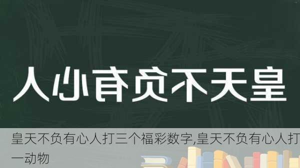 皇天不负有心人打三个福彩数字,皇天不负有心人打一动物