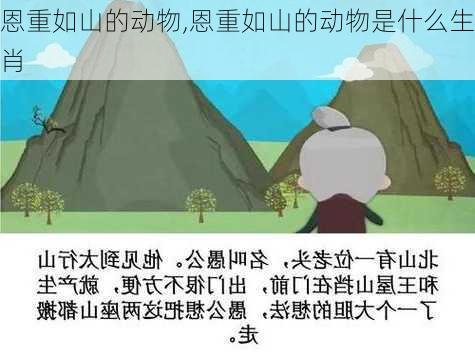 恩重如山的动物,恩重如山的动物是什么生肖