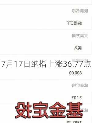 7月17日纳指上涨36.77点