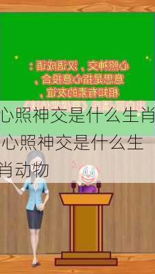 心照神交是什么生肖,心照神交是什么生肖动物