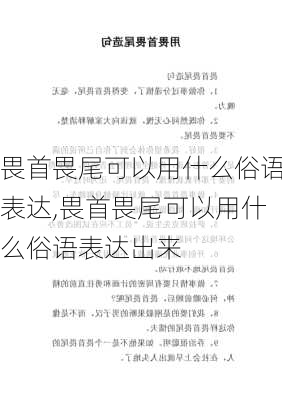 畏首畏尾可以用什么俗语表达,畏首畏尾可以用什么俗语表达出来