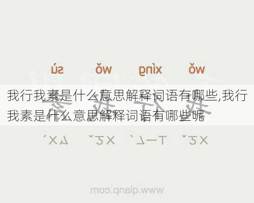 我行我素是什么意思解释词语有哪些,我行我素是什么意思解释词语有哪些呢