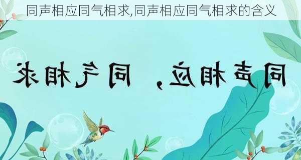 同声相应同气相求,同声相应同气相求的含义