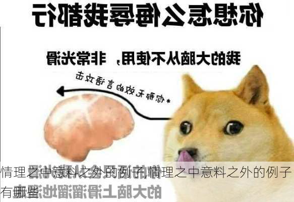 情理之中意料之外的例子,情理之中意料之外的例子有哪些