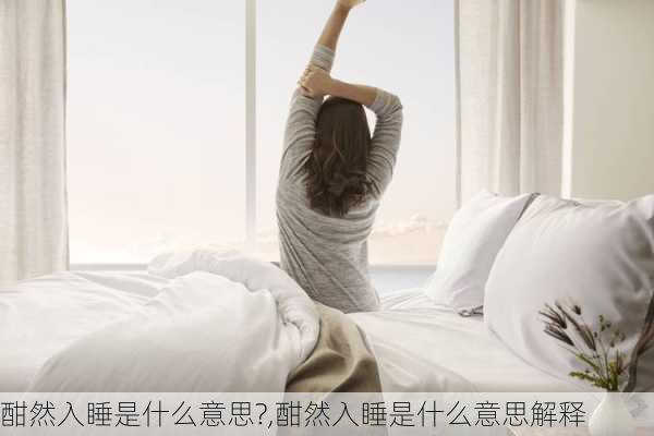 酣然入睡是什么意思?,酣然入睡是什么意思解释