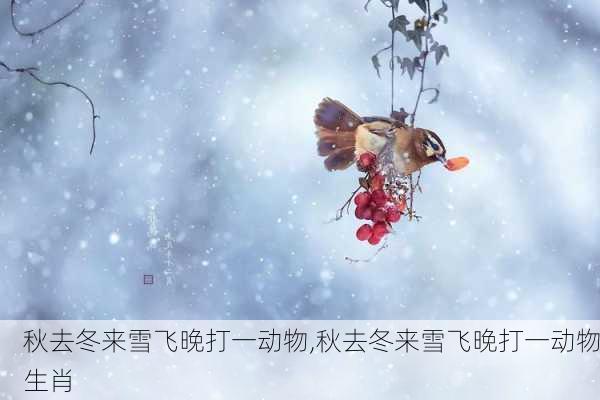 秋去冬来雪飞晚打一动物,秋去冬来雪飞晚打一动物生肖