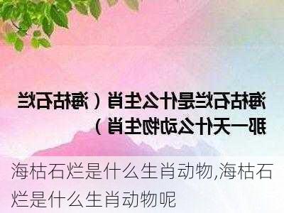 海枯石烂是什么生肖动物,海枯石烂是什么生肖动物呢