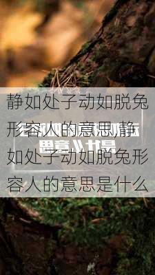 静如处子动如脱兔形容人的意思,静如处子动如脱兔形容人的意思是什么