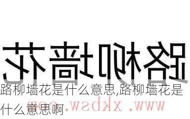 路柳墙花是什么意思,路柳墙花是什么意思啊