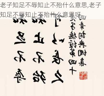 老子知足不辱知止不殆什么意思,老子知足不辱知止不殆什么意思呀