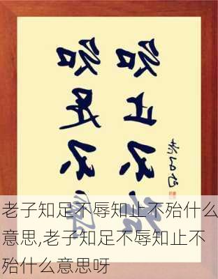 老子知足不辱知止不殆什么意思,老子知足不辱知止不殆什么意思呀