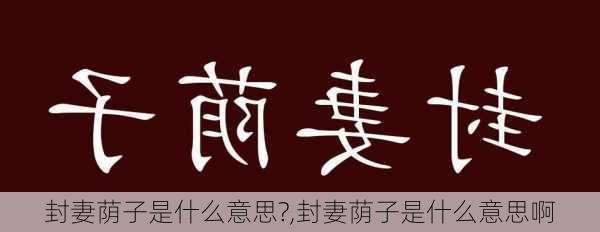 封妻荫子是什么意思?,封妻荫子是什么意思啊