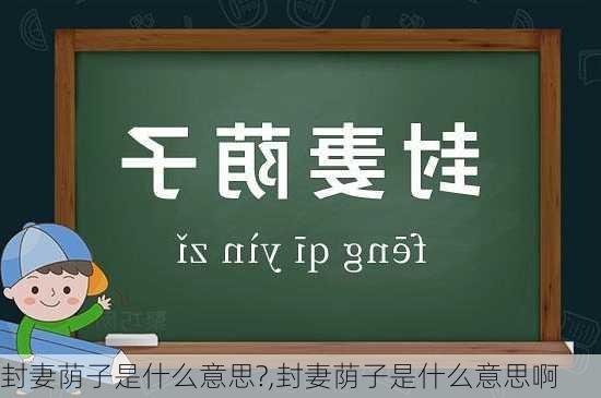 封妻荫子是什么意思?,封妻荫子是什么意思啊