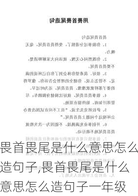 畏首畏尾是什么意思怎么造句子,畏首畏尾是什么意思怎么造句子一年级