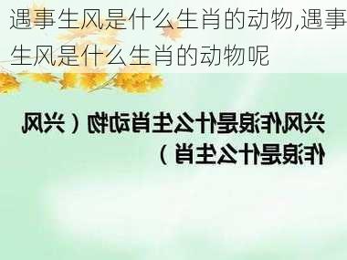 遇事生风是什么生肖的动物,遇事生风是什么生肖的动物呢