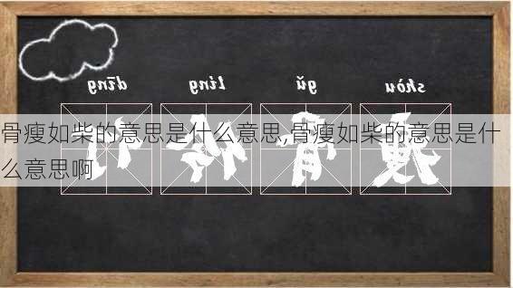 骨瘦如柴的意思是什么意思,骨瘦如柴的意思是什么意思啊