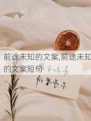 前途未知的文案,前途未知的文案短句