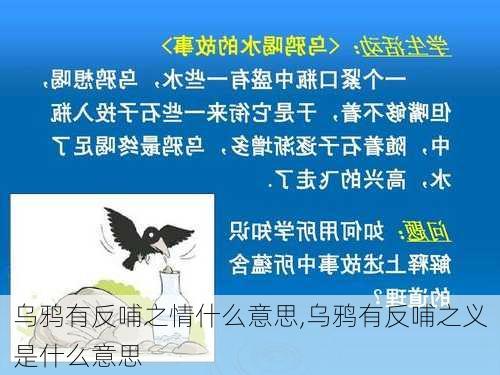 乌鸦有反哺之情什么意思,乌鸦有反哺之义是什么意思