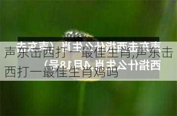 声东击西打一最佳生肖,声东击西打一最佳生肖鸡吗