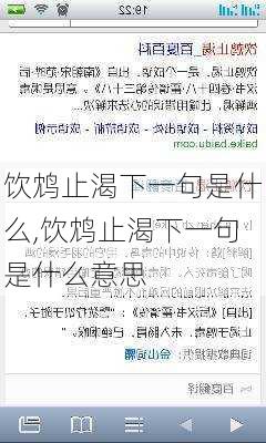 饮鸩止渴下一句是什么,饮鸩止渴下一句是什么意思