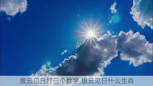 拔云见日打三个数字,拔云见日什么生肖